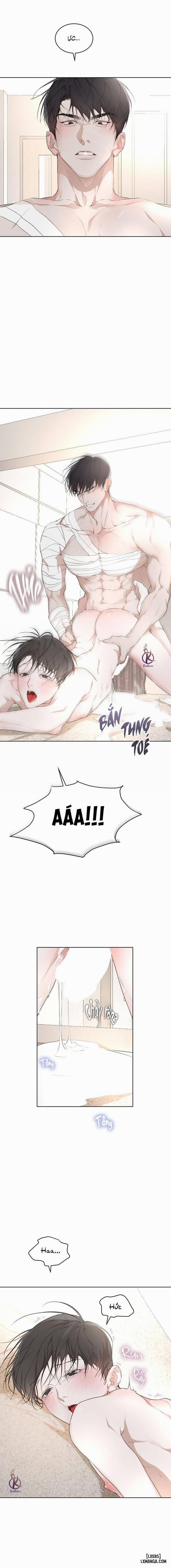 Hình thái khởi sinh 61 trang 11