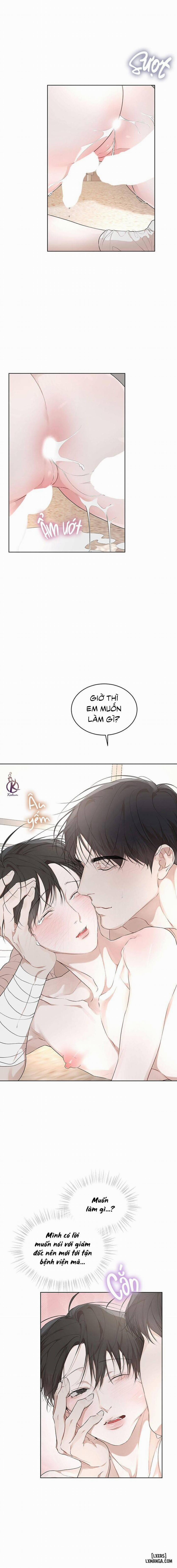 Hình thái khởi sinh 61 trang 12