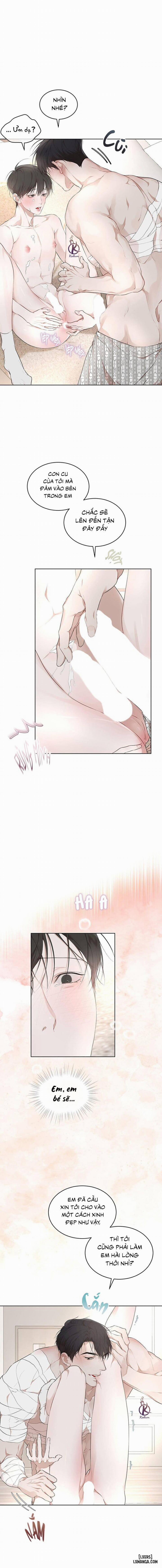 Hình thái khởi sinh 61 trang 4