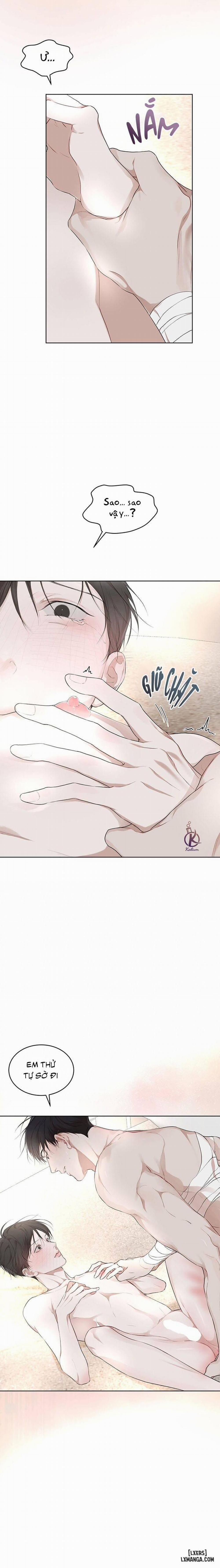 Hình thái khởi sinh 61 trang 7