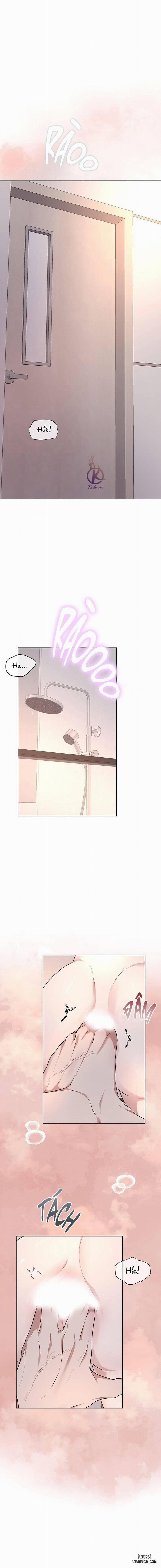 Hình thái khởi sinh 62 trang 0