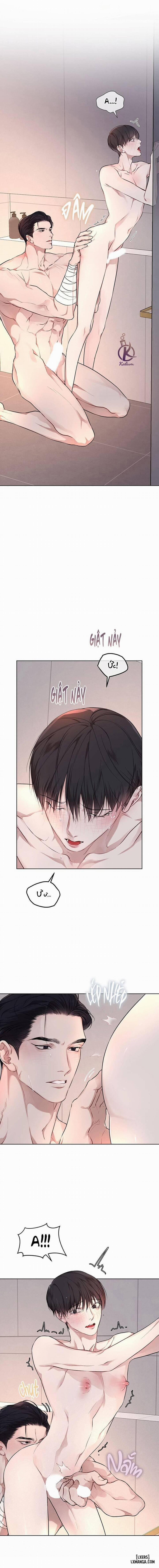 Hình thái khởi sinh 62 trang 1