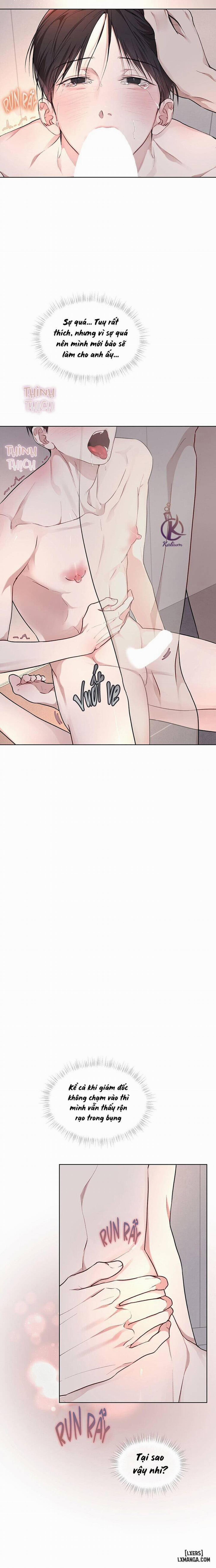 Hình thái khởi sinh 62 trang 7