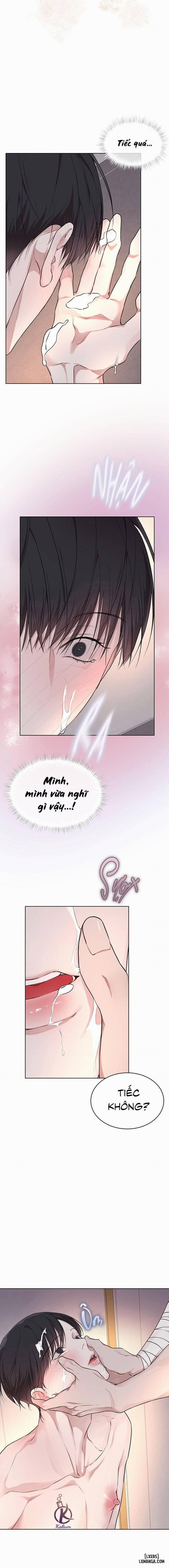 Hình thái khởi sinh 62 trang 9