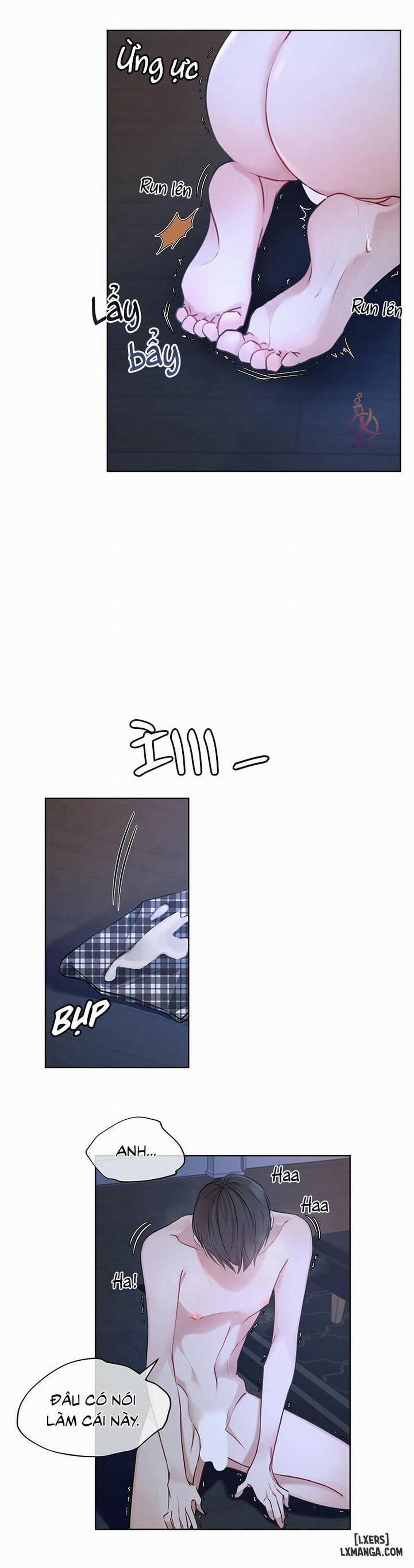 Hình thái khởi sinh 7 trang 11