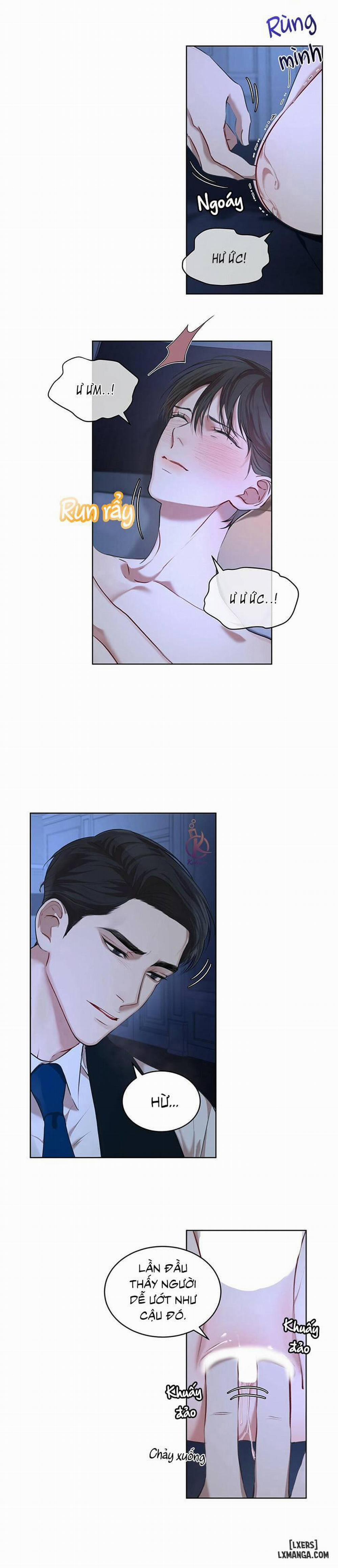 Hình thái khởi sinh 8 trang 1