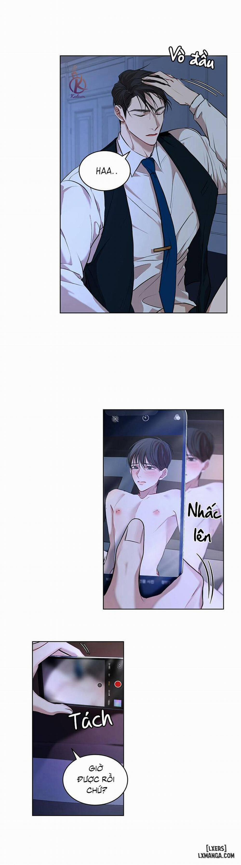 Hình thái khởi sinh 8 trang 12