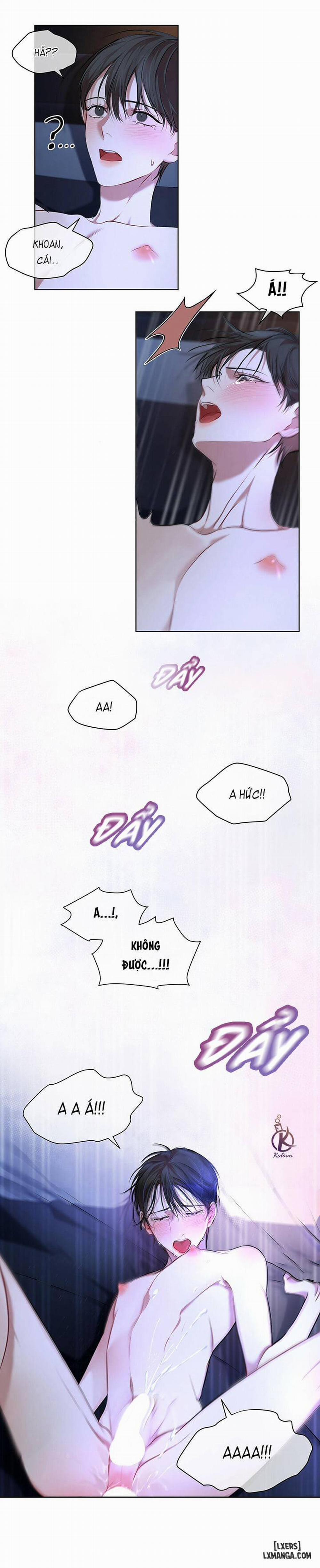 Hình thái khởi sinh 8 trang 13