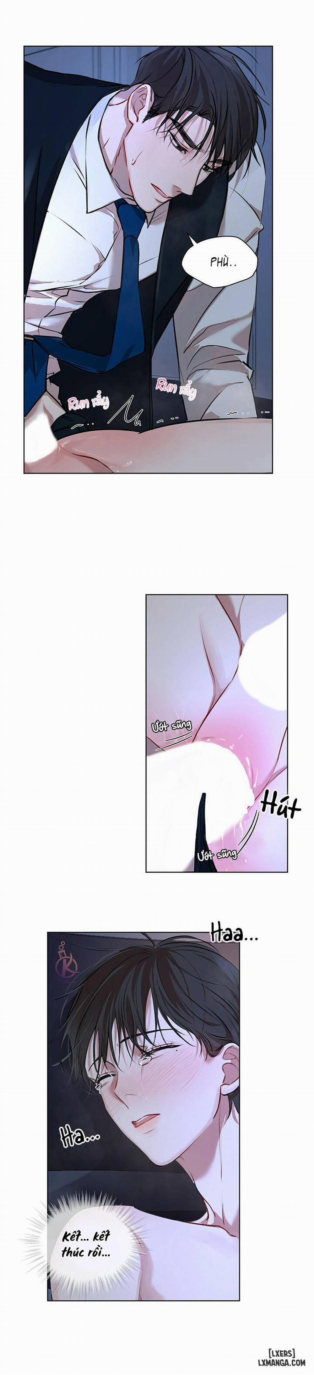 Hình thái khởi sinh 8 trang 17