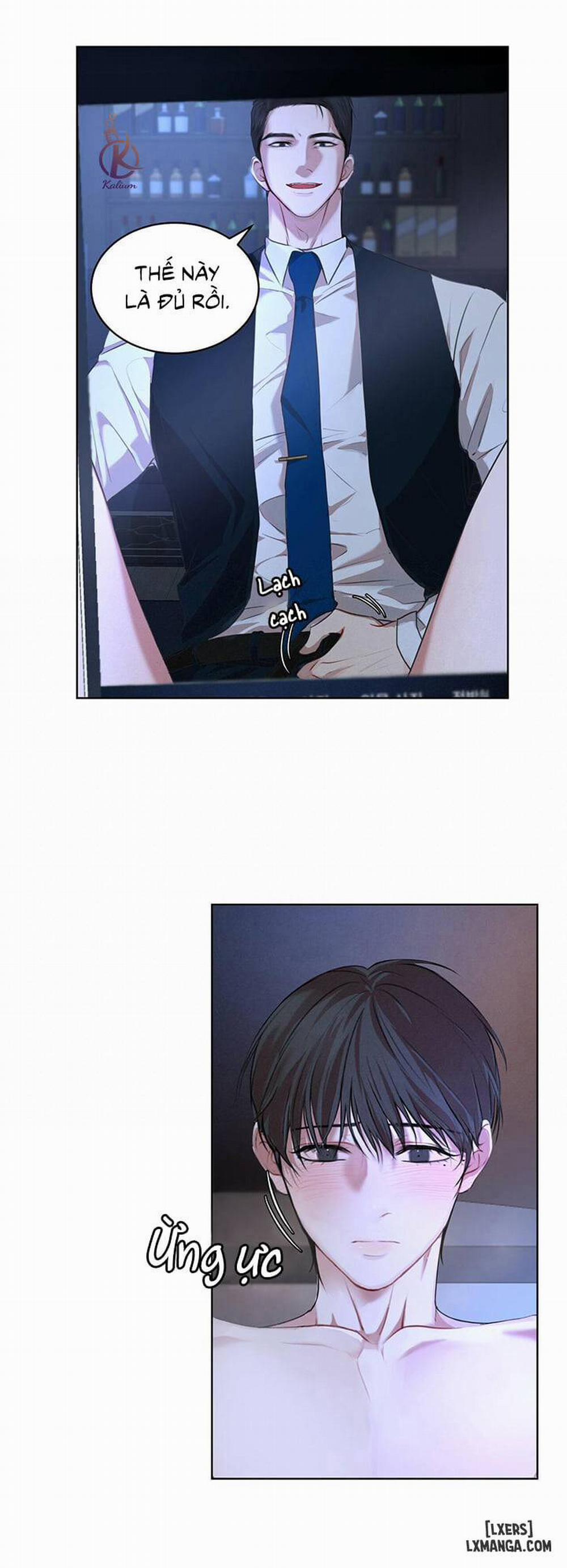 Hình thái khởi sinh 8 trang 3