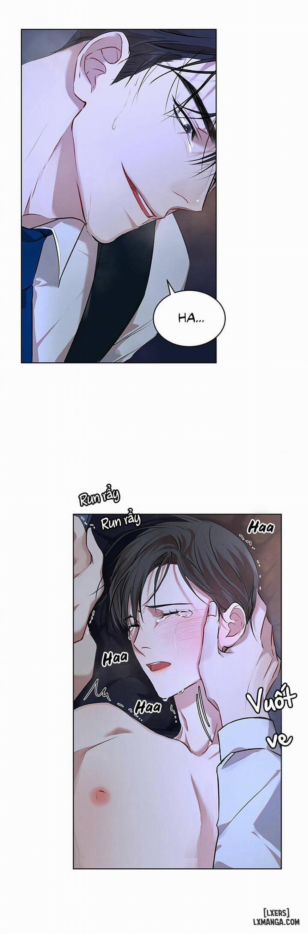 Hình thái khởi sinh 8 trang 9