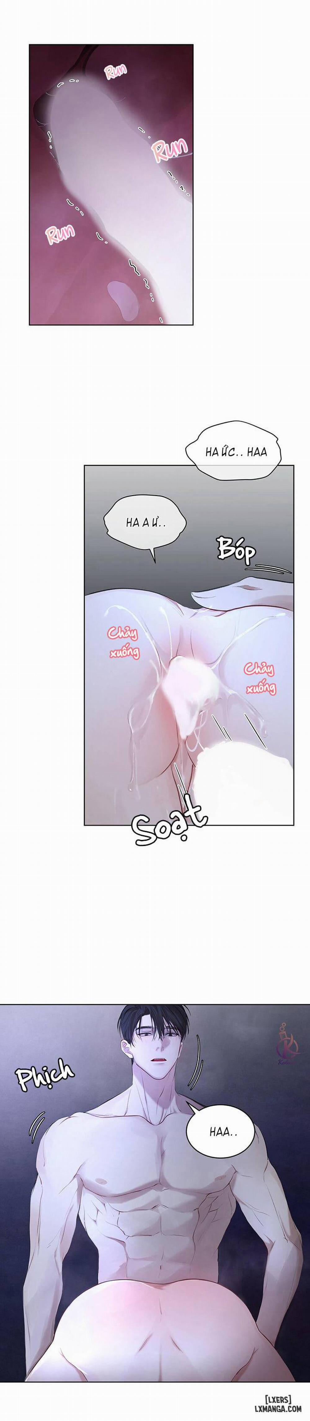 Hình thái khởi sinh 9 trang 13