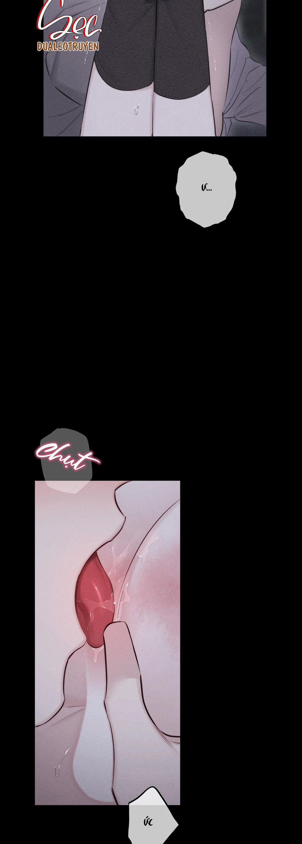 Hình Thái Tình Tan 14 trang 28