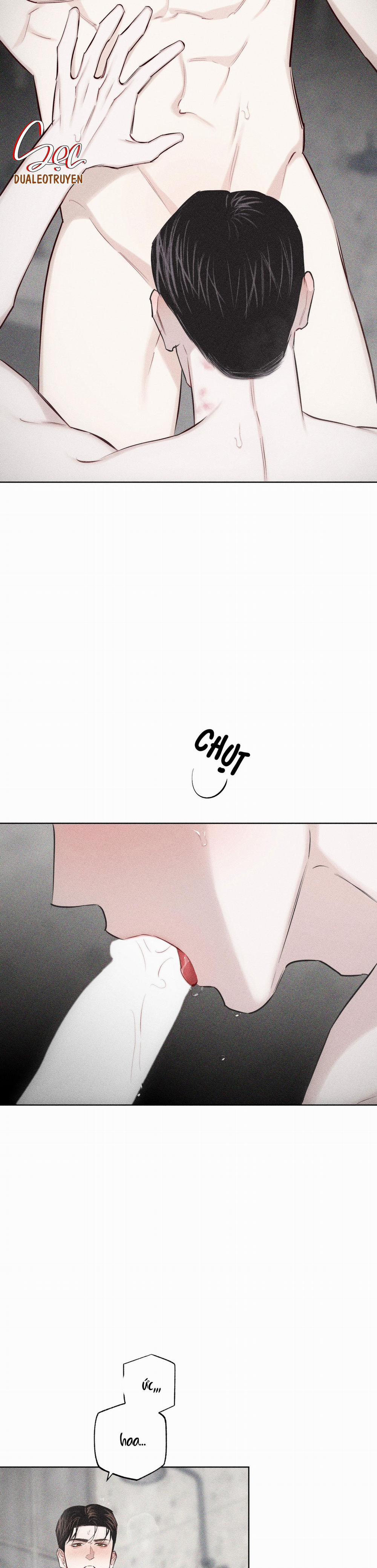 Hình Thái Tình Tan 15 H+ trang 42