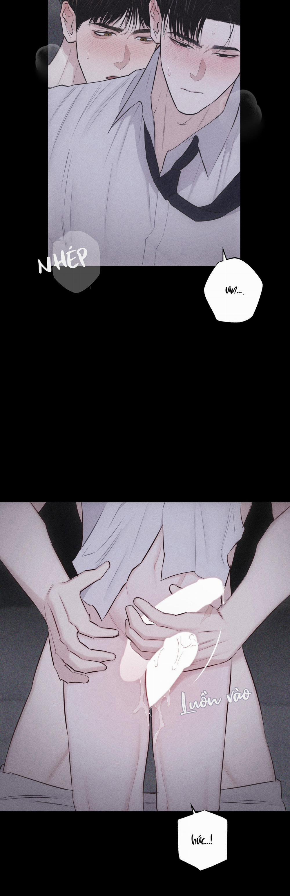 Hình Thái Tình Tan 15 trang 8