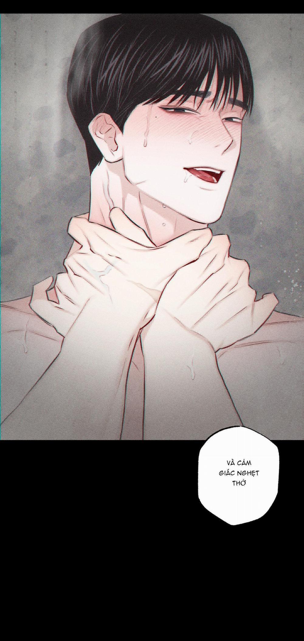 Hình Thái Tình Tan 16 trang 42