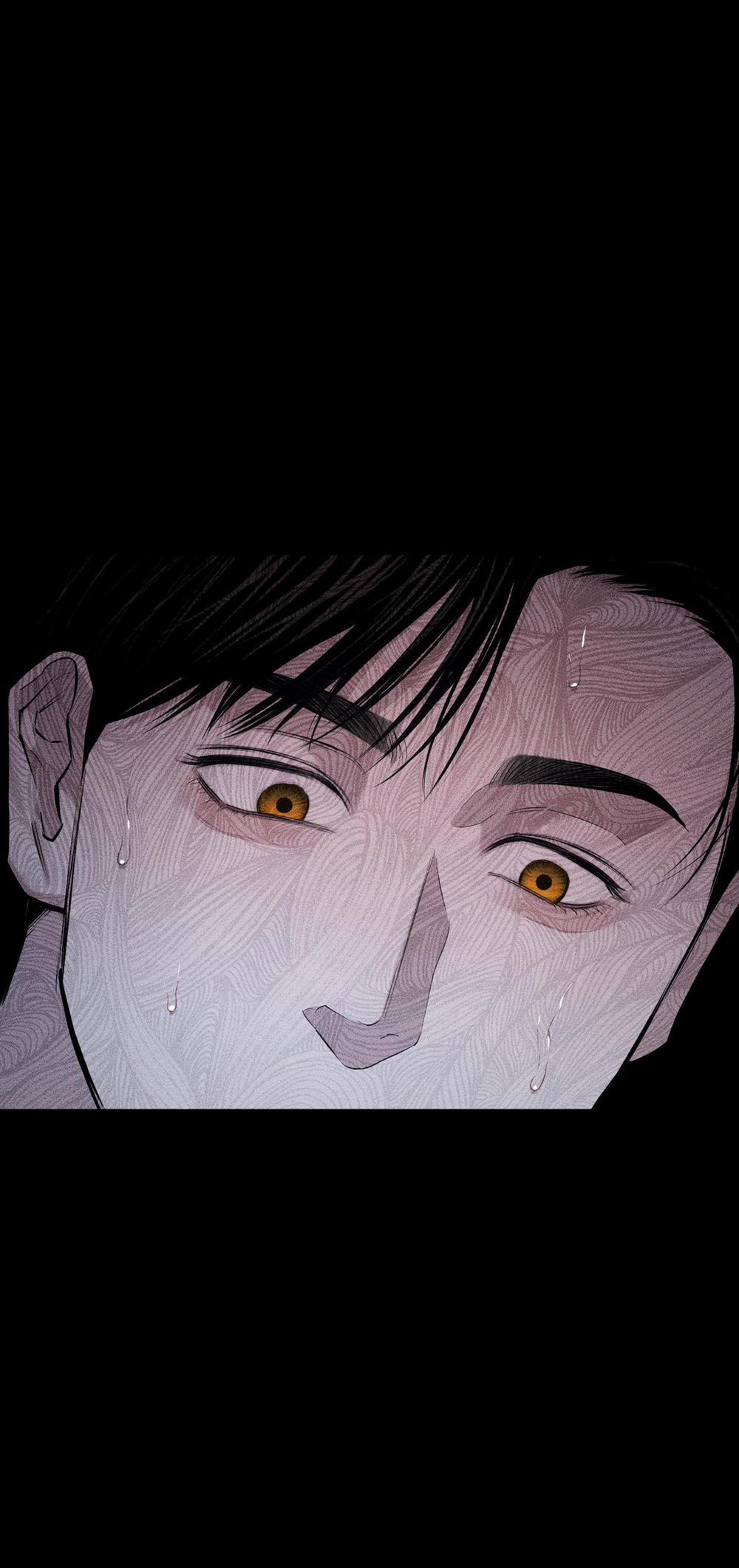 Hình Thái Tình Tan 22 0 trang 68