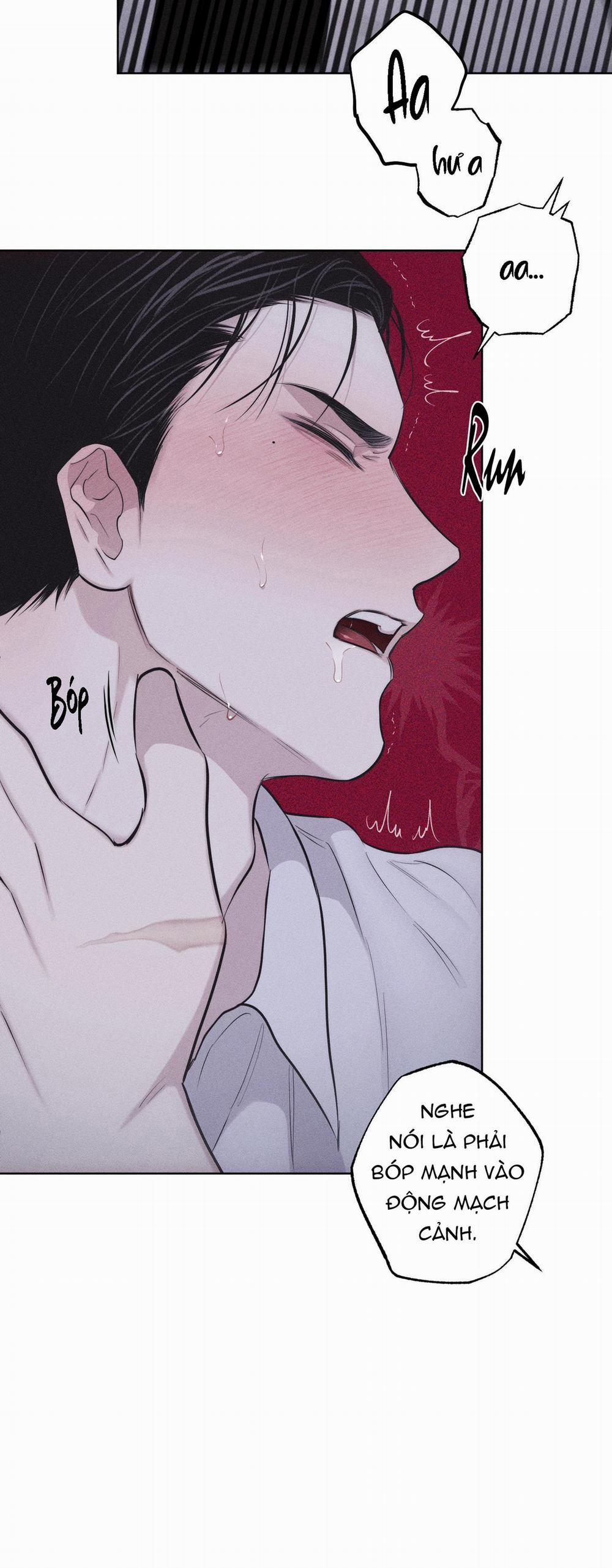 Hình Thái Tình Tan 23 H+ trang 51