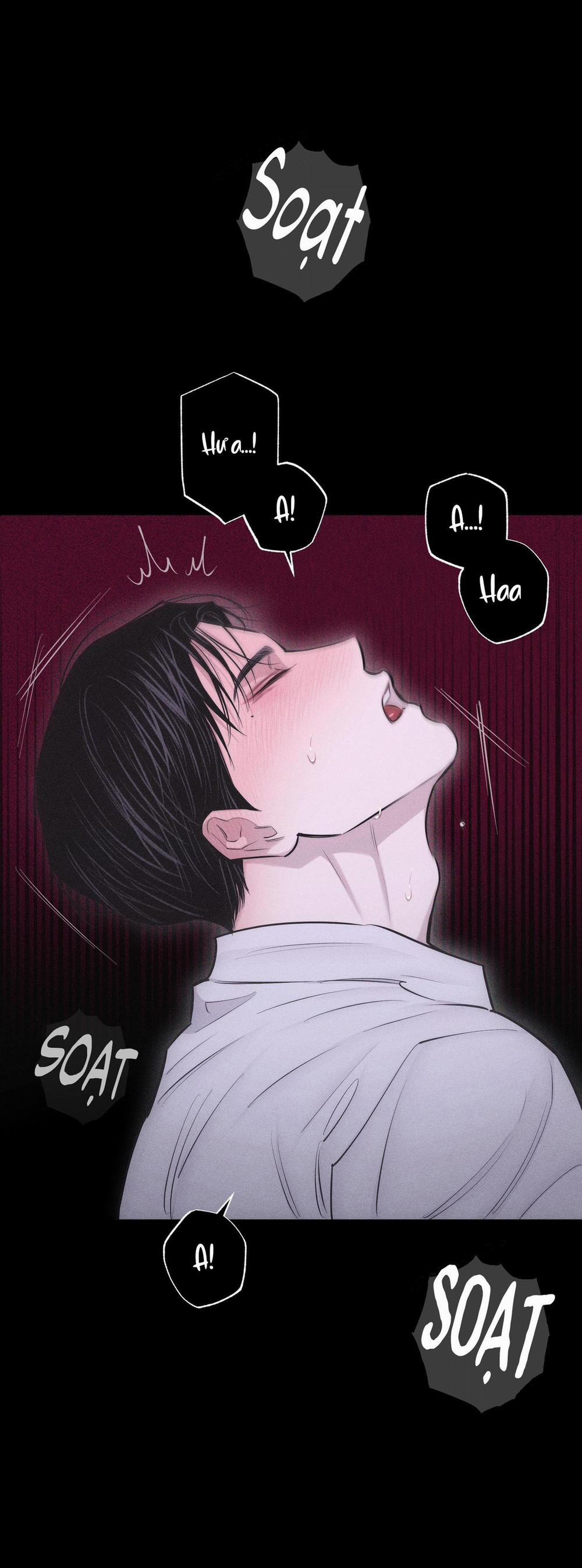 Hình Thái Tình Tan 24 H+ trang 17