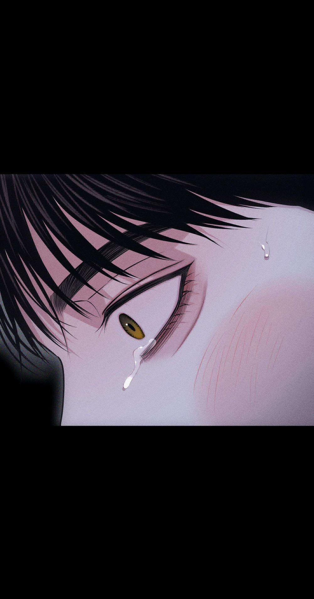 Hình Thái Tình Tan 41 trang 14