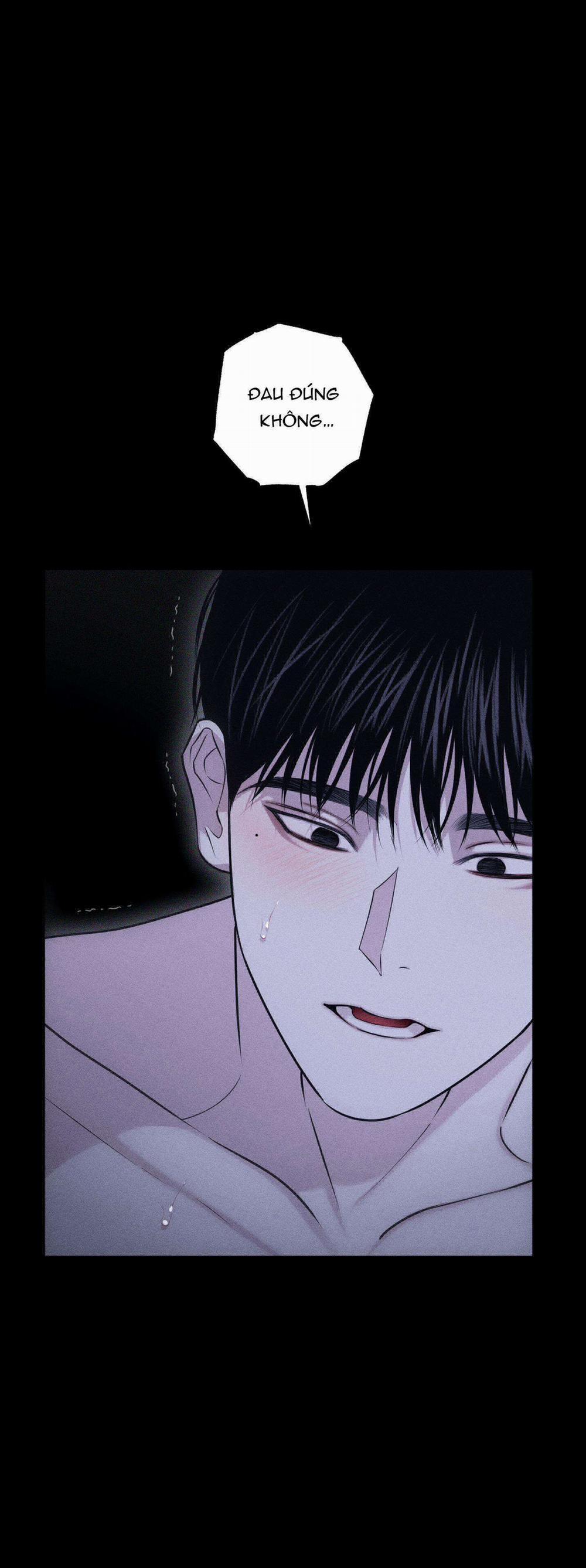 Hình Thái Tình Tan 41 trang 15