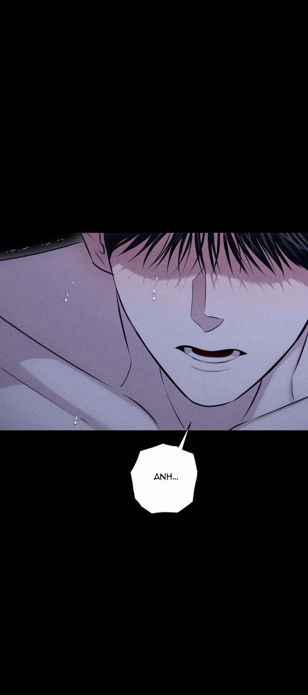 Hình Thái Tình Tan 41 trang 20