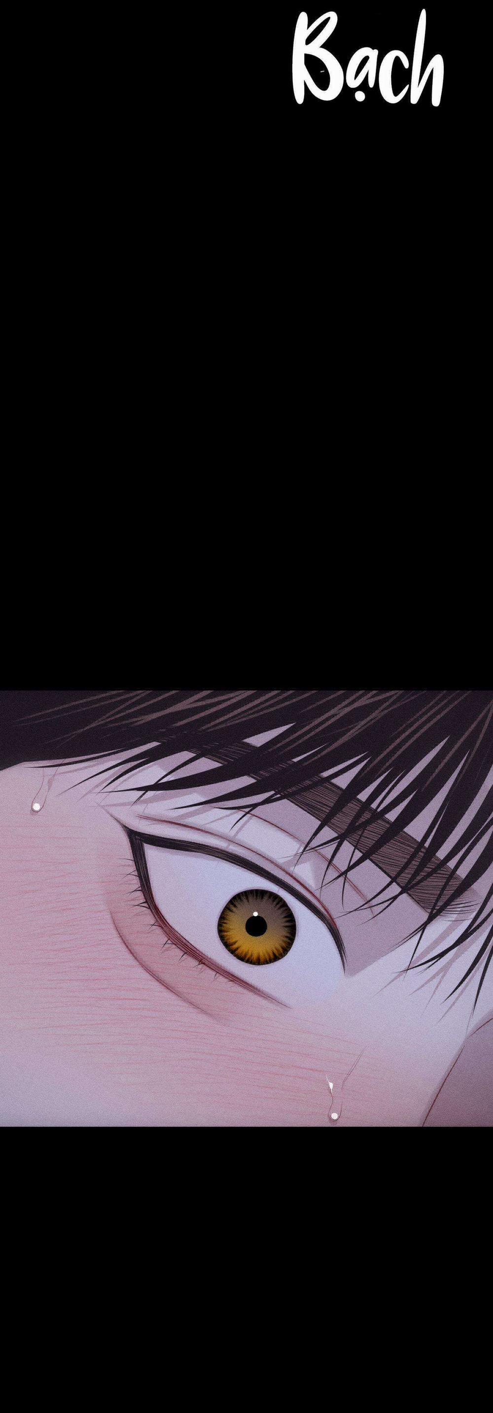 Hình Thái Tình Tan 41 trang 34