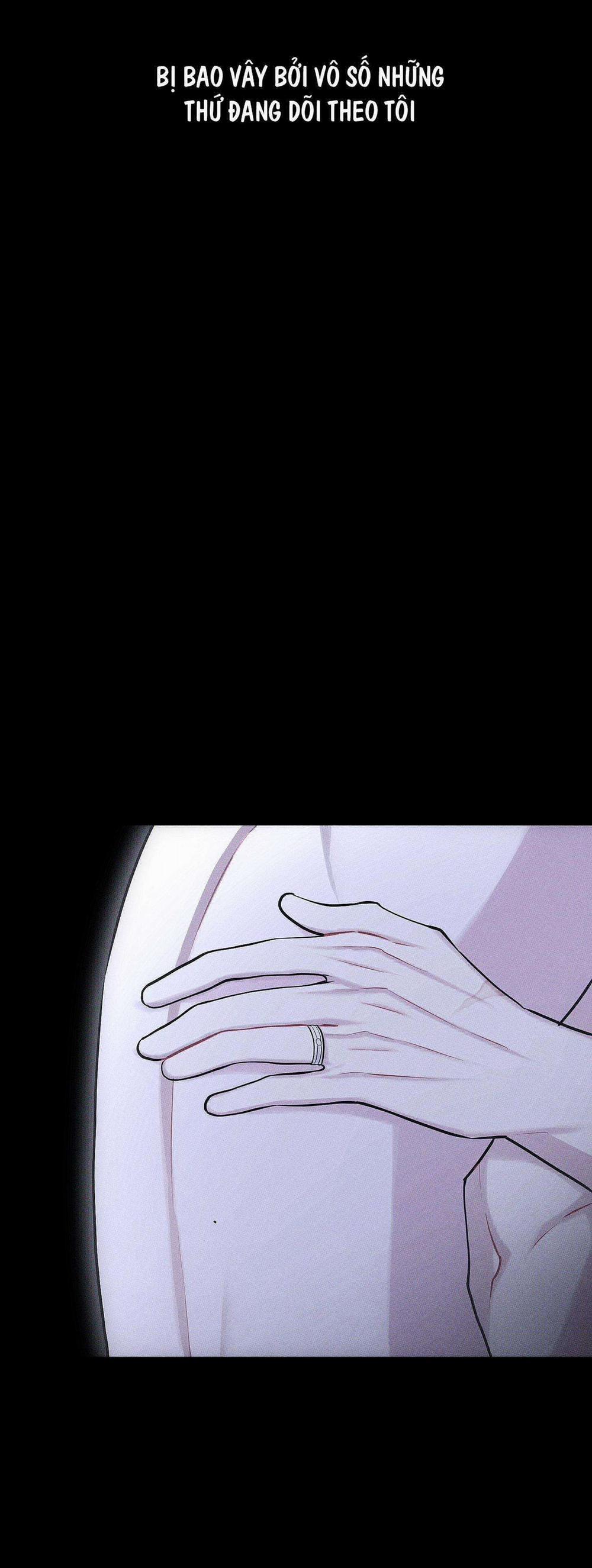 Hình Thái Tình Tan 41 trang 43