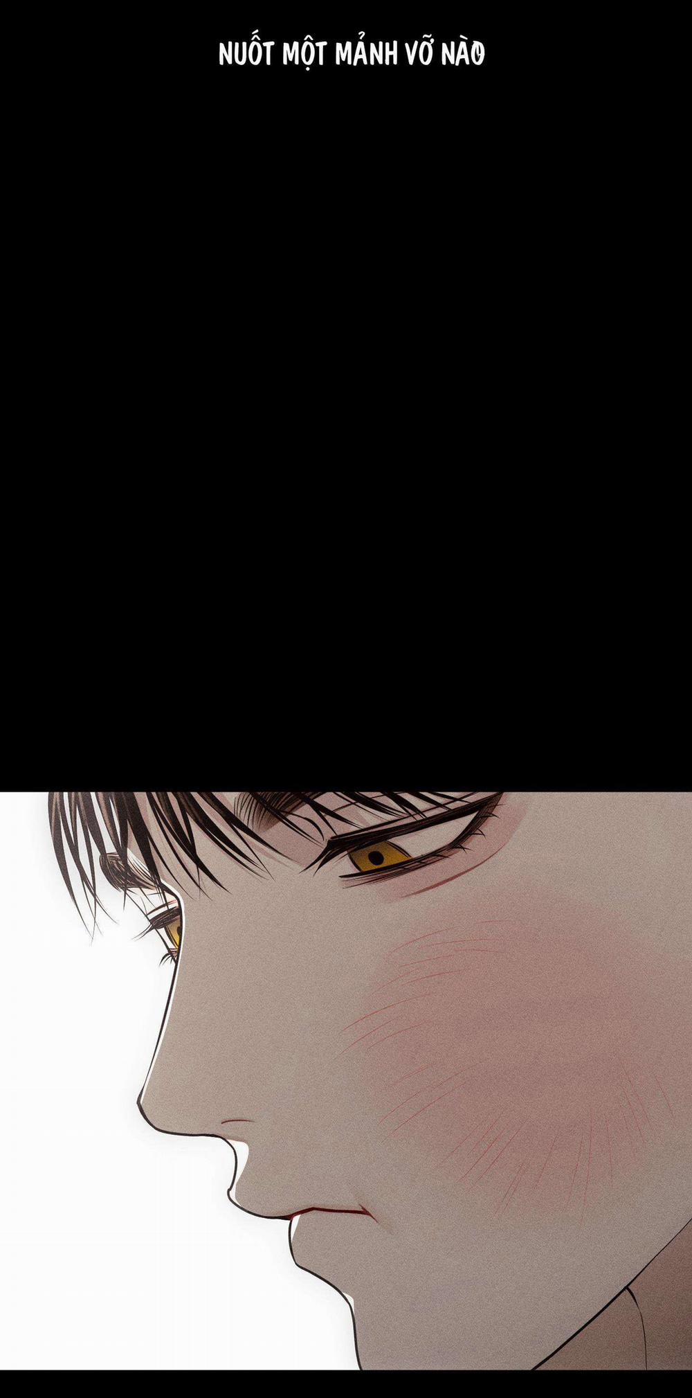 Hình Thái Tình Tan 41 trang 62