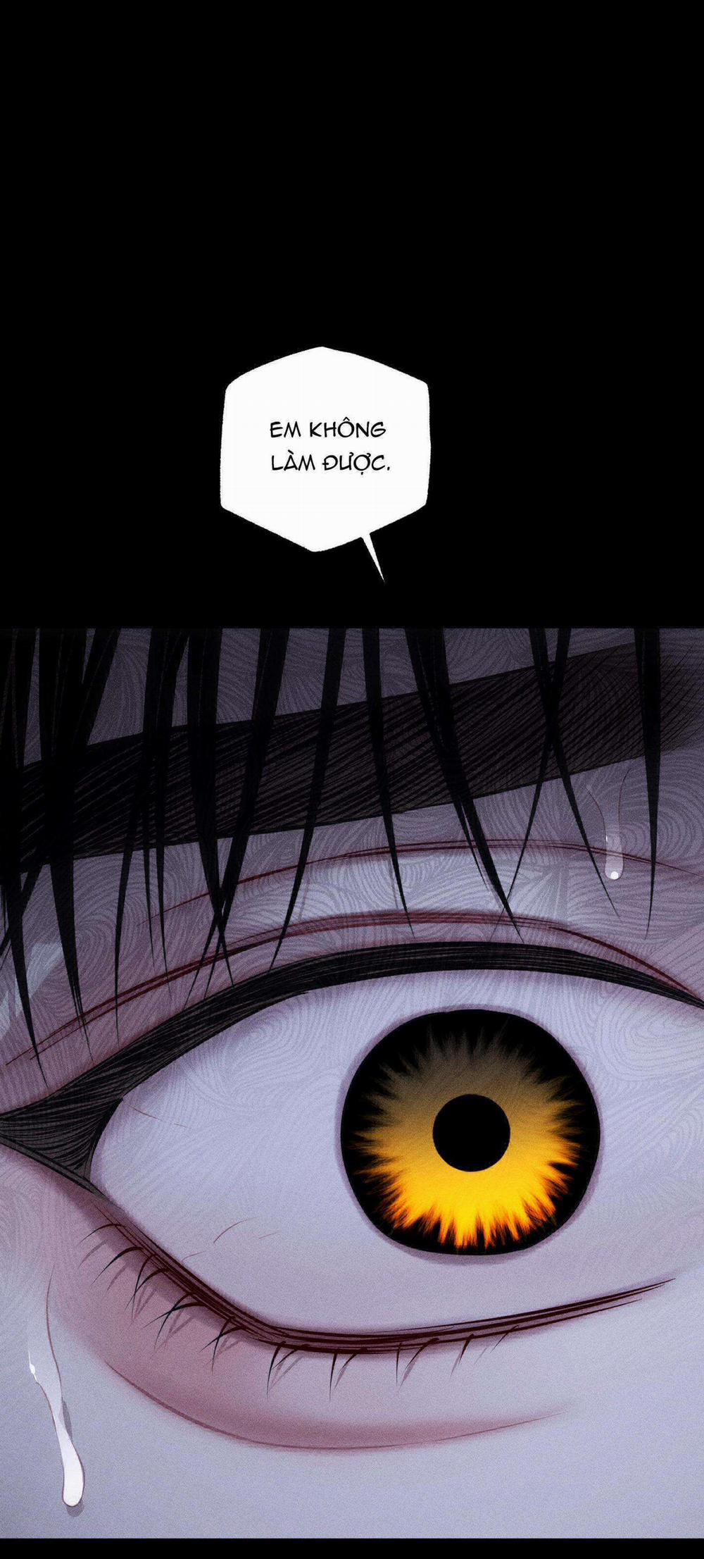 Hình Thái Tình Tan 41 trang 9