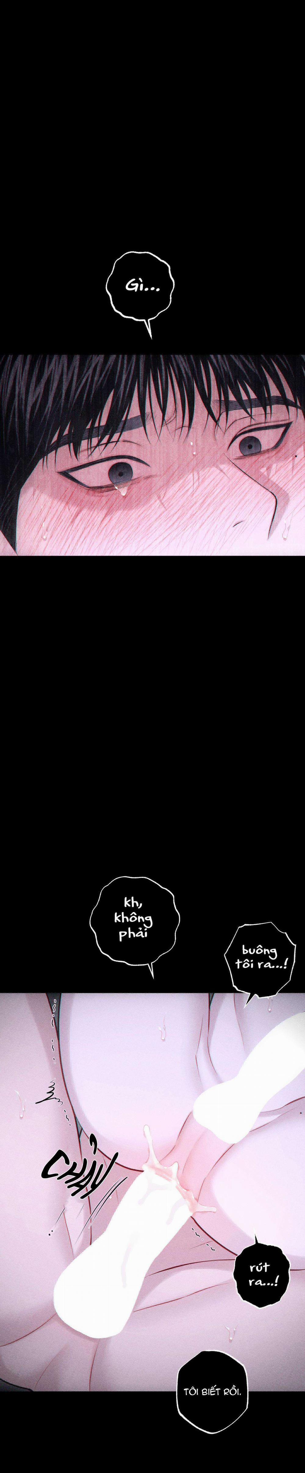 Hình Thái Tình Tan 43 trang 7