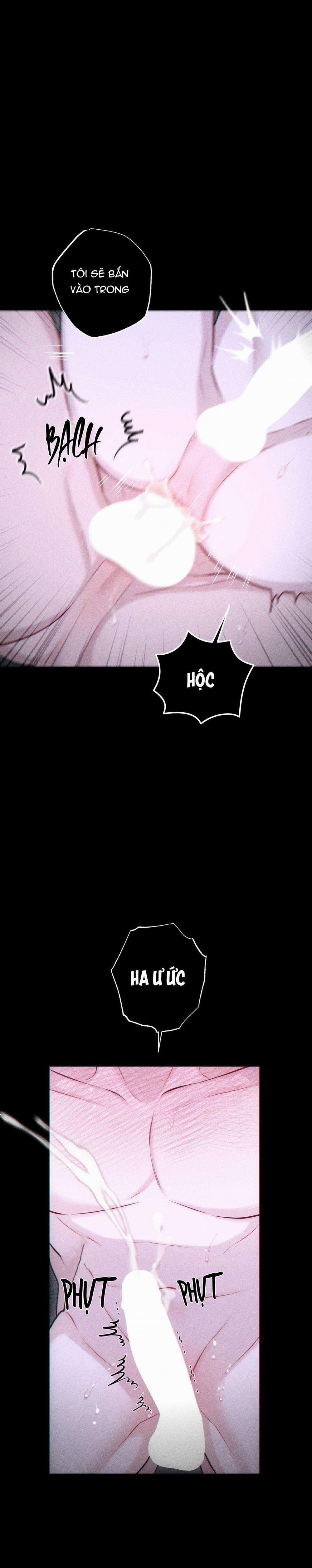 Hình Thái Tình Tan 43 trang 8