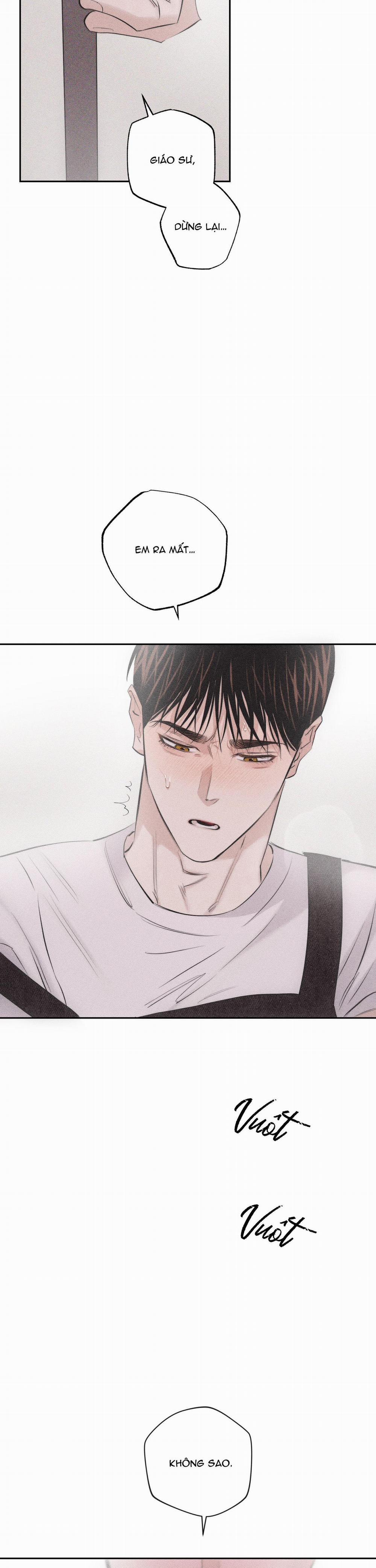 Hình Thái Tình Tan 8 trang 11