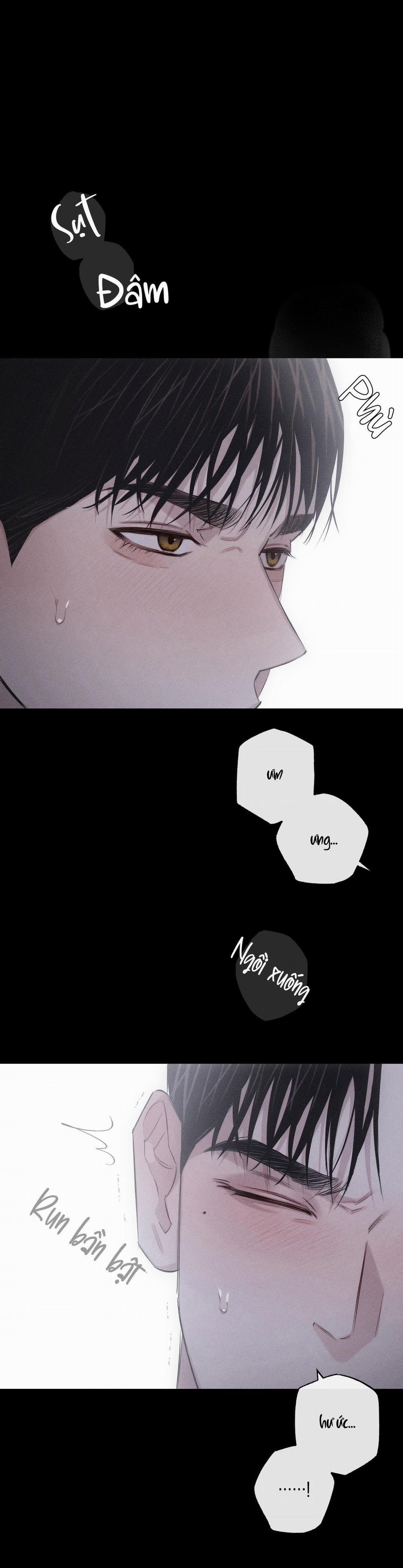 Hình Thái Tình Tan 8 trang 28