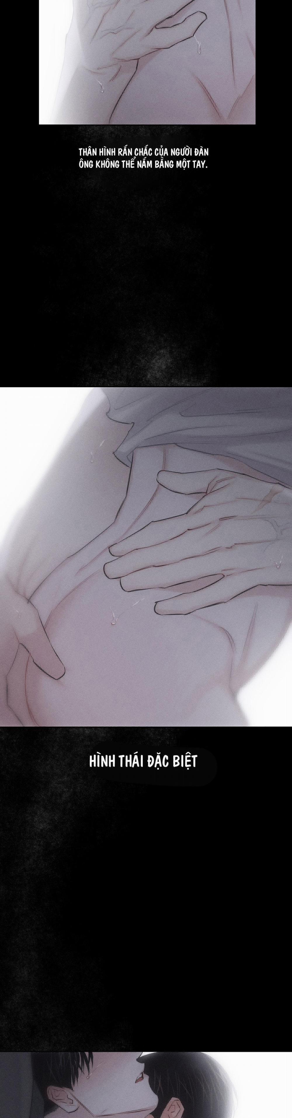 Hình Thái Tình Tan 8 trang 39