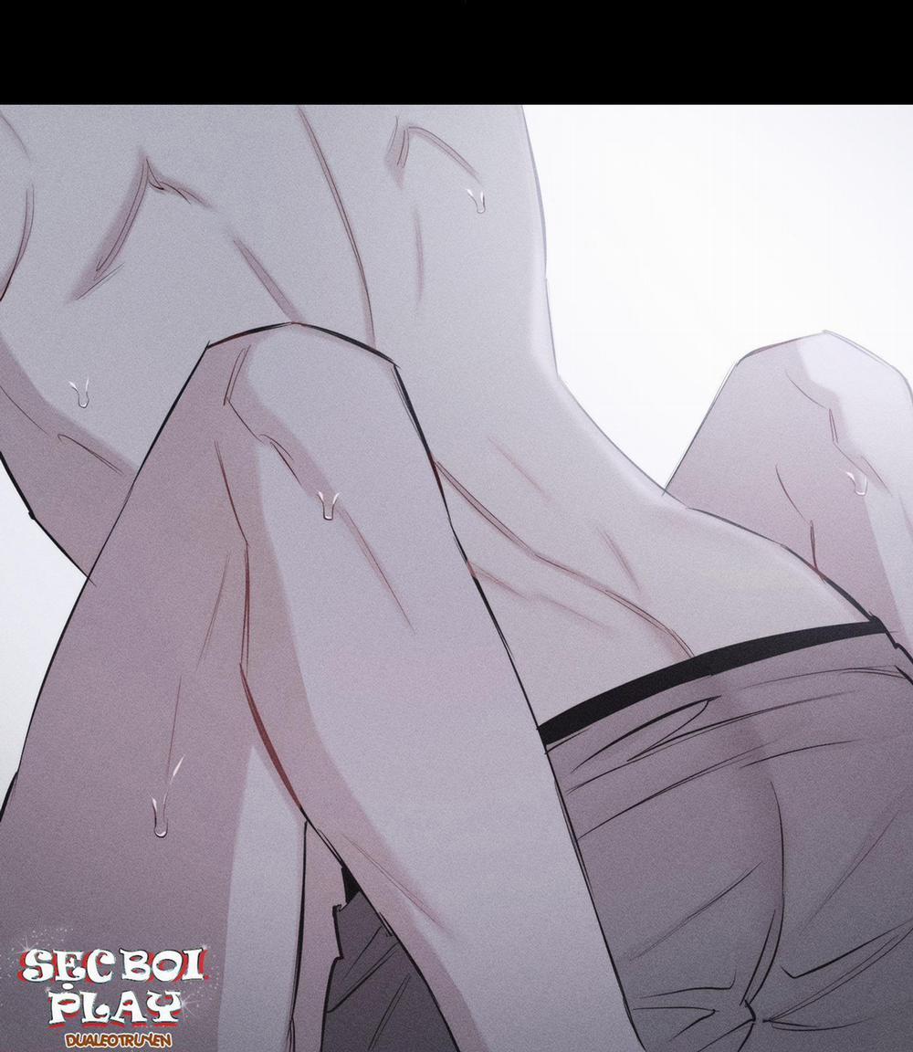 Hình Thái Tình Tan 9 H+ trang 27