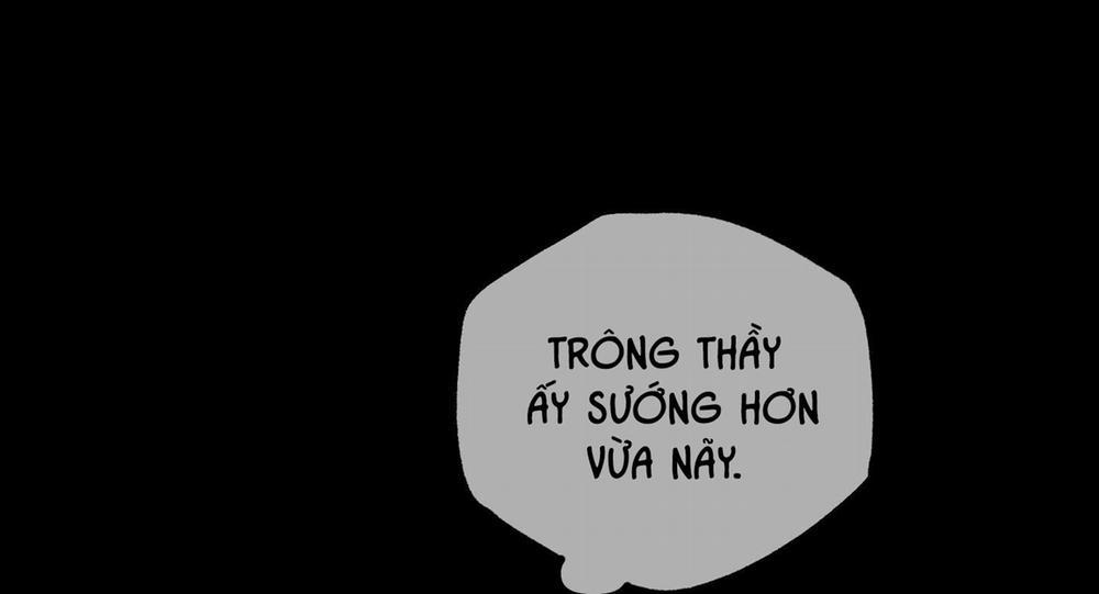 Hình Thái Tình Tan 9 H+ trang 41