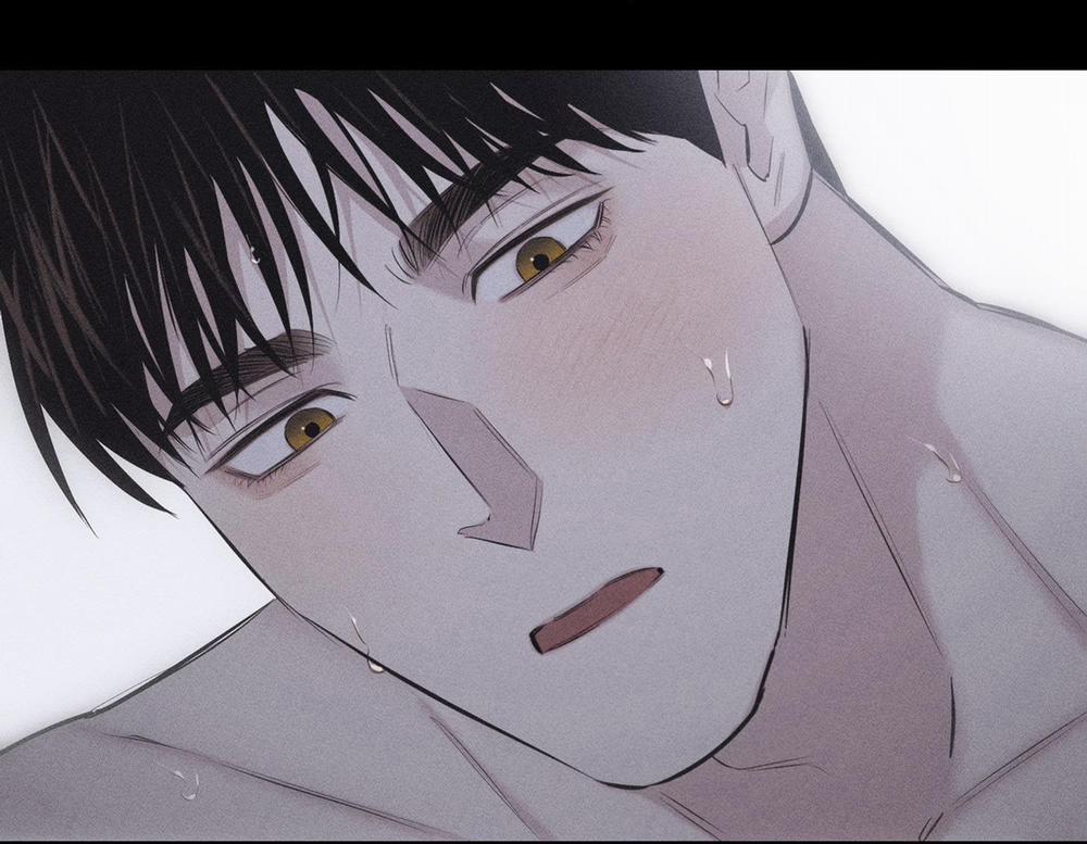 Hình Thái Tình Tan 9 H+ trang 55