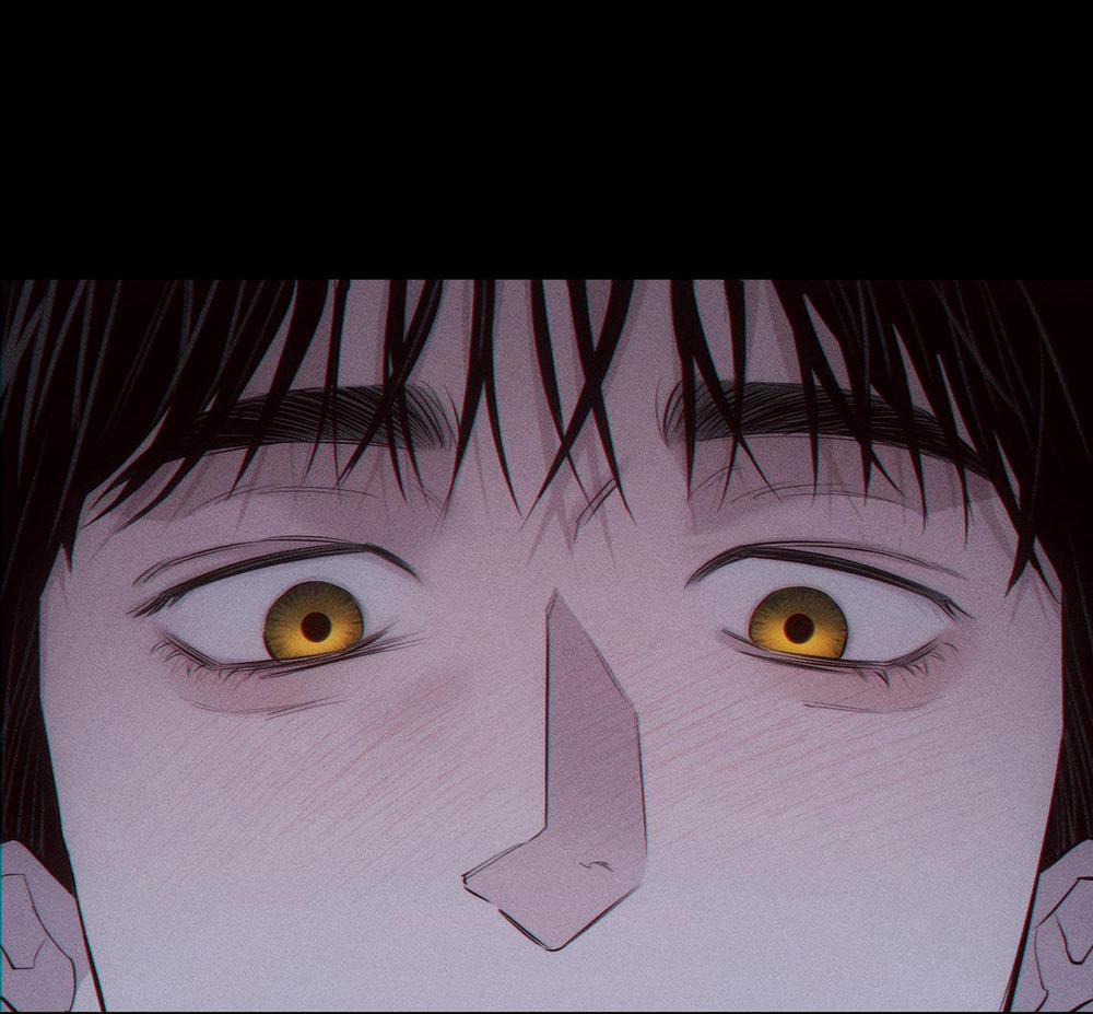 Hình Thái Tình Tan 9 H+ trang 67