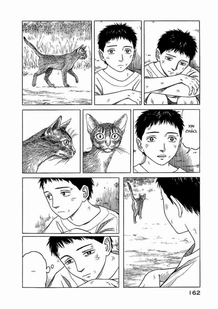 Historie 17 trang 11