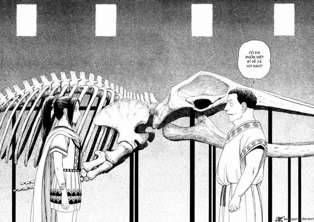 Historie 37 trang 11