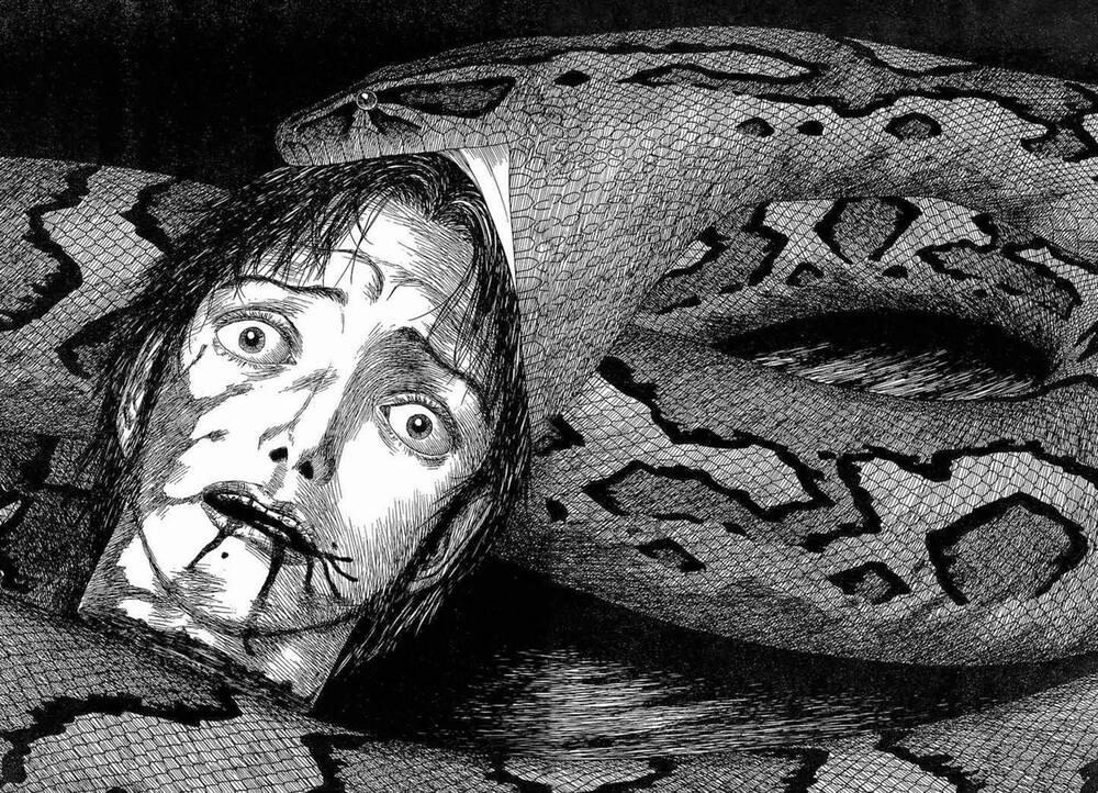 Historie 60 trang 24