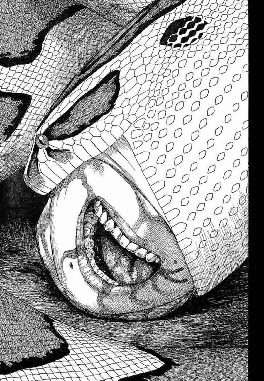 Historie 60 trang 28