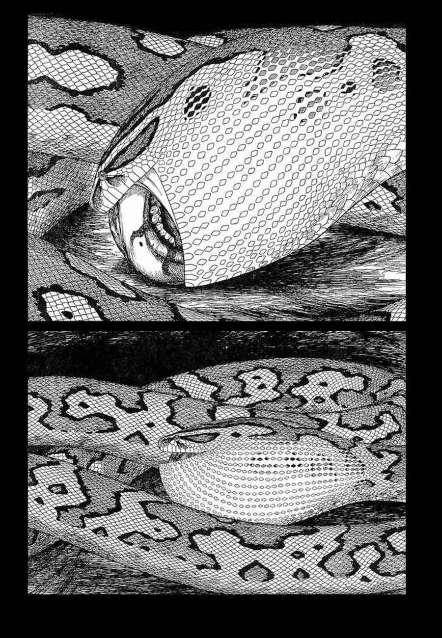 Historie 60 trang 29