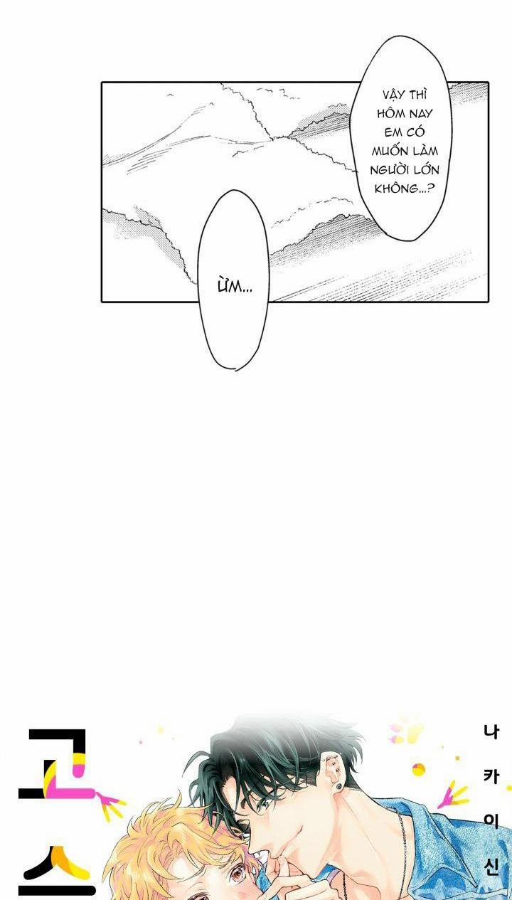 Hiyoko-chan To Harinezumi-kun 11 trang 49