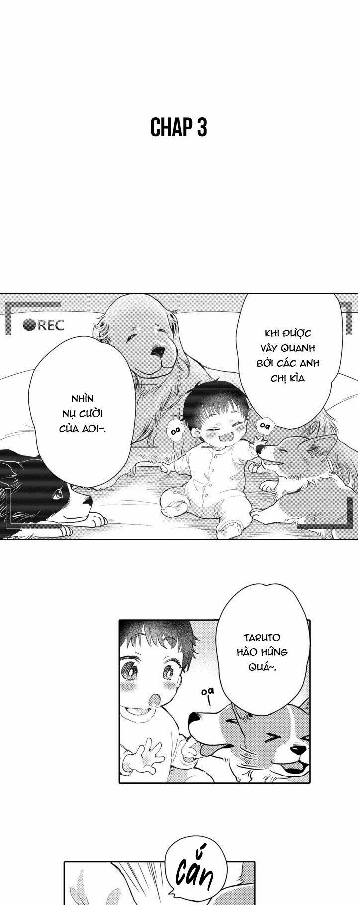 Hiyoko-chan To Harinezumi-kun 3 trang 1