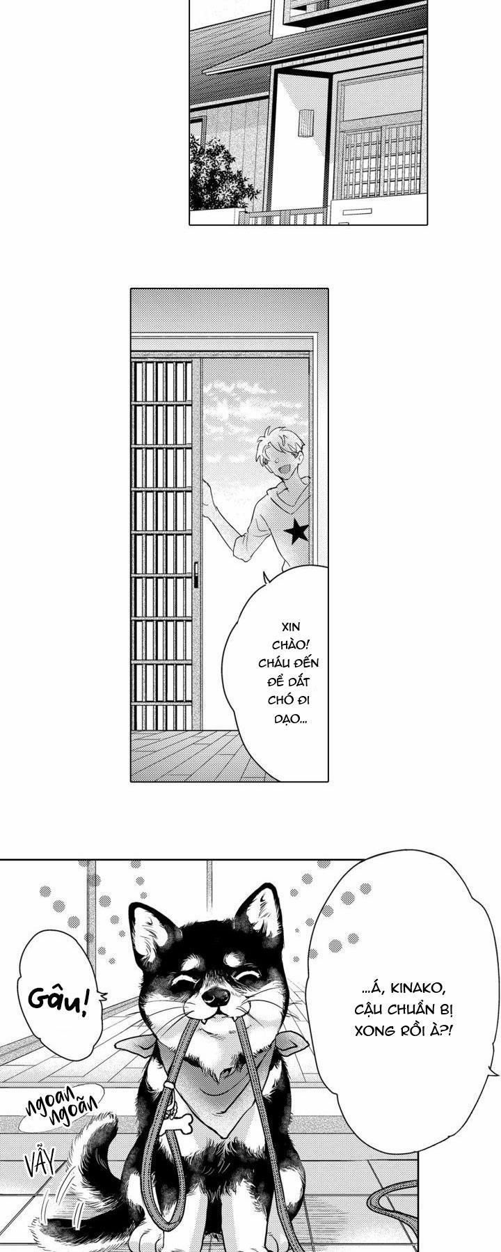 Hiyoko-chan To Harinezumi-kun 3 trang 11