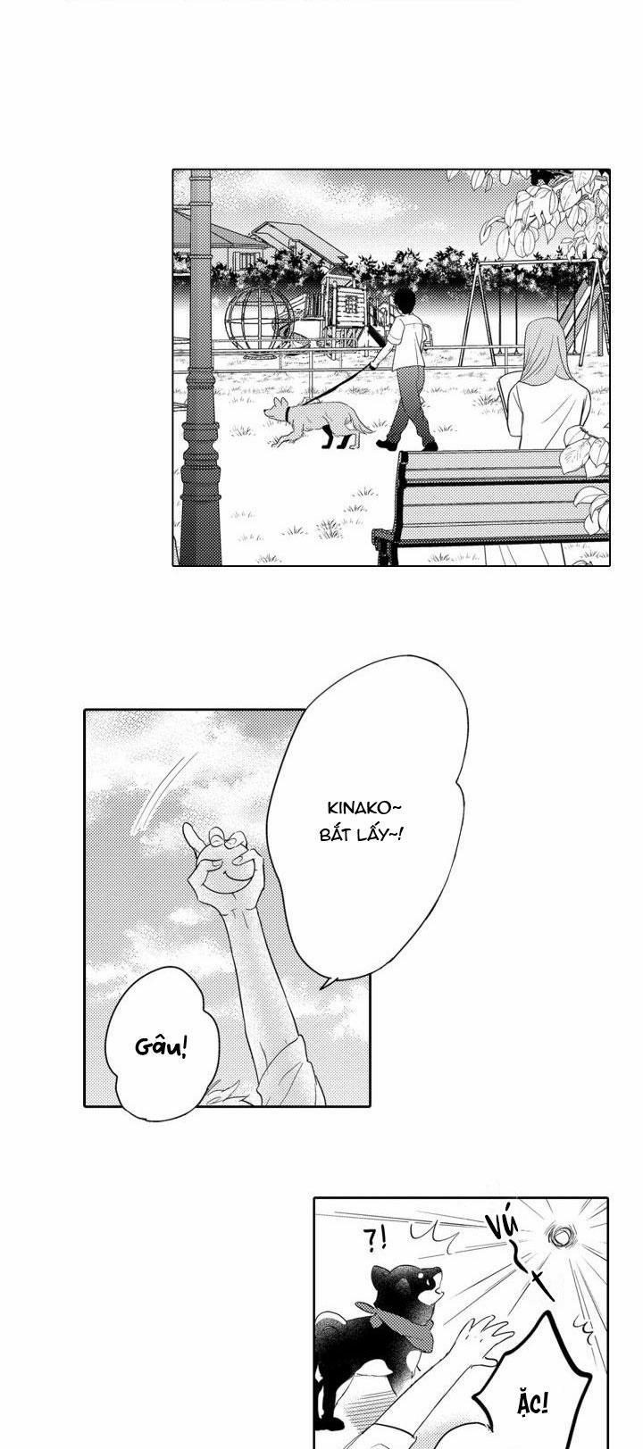 Hiyoko-chan To Harinezumi-kun 3 trang 13