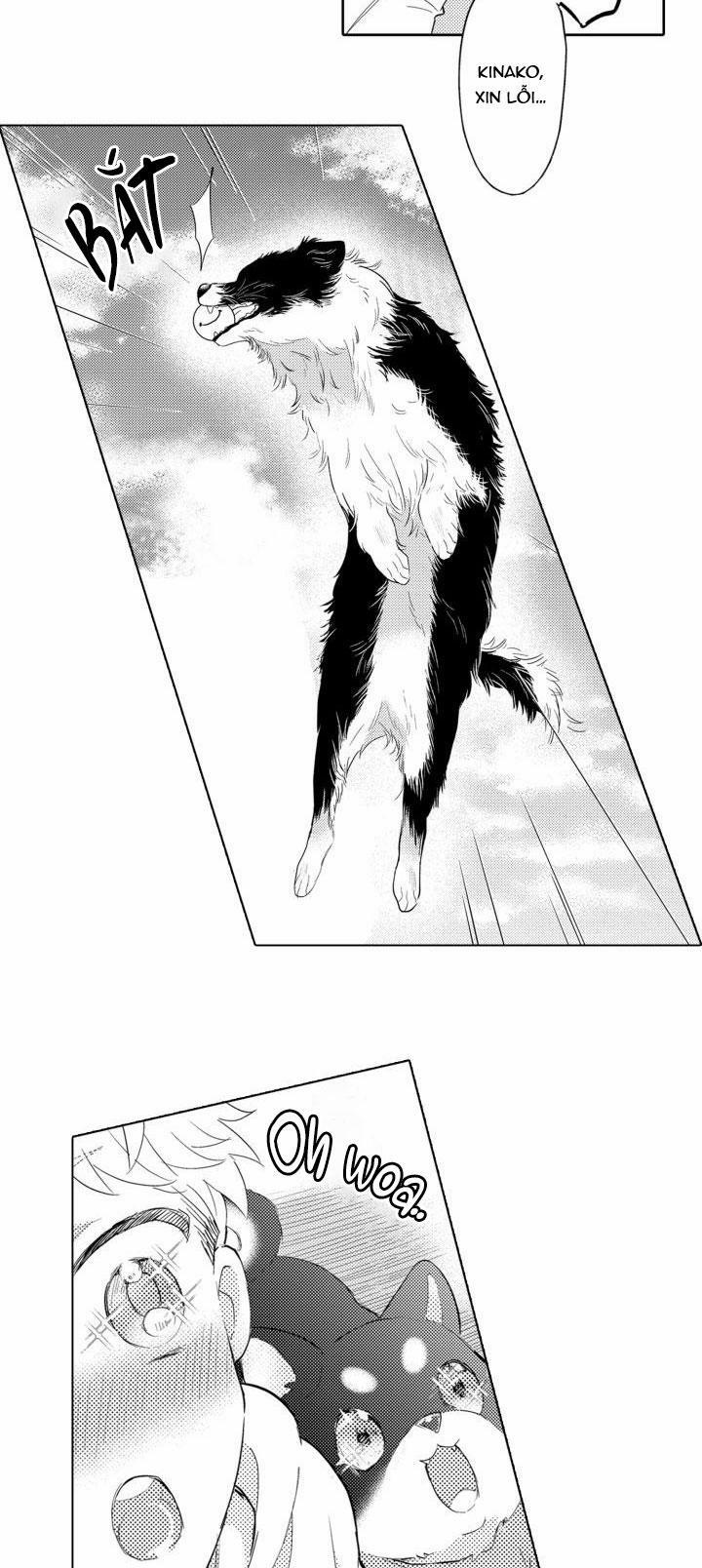 Hiyoko-chan To Harinezumi-kun 3 trang 14