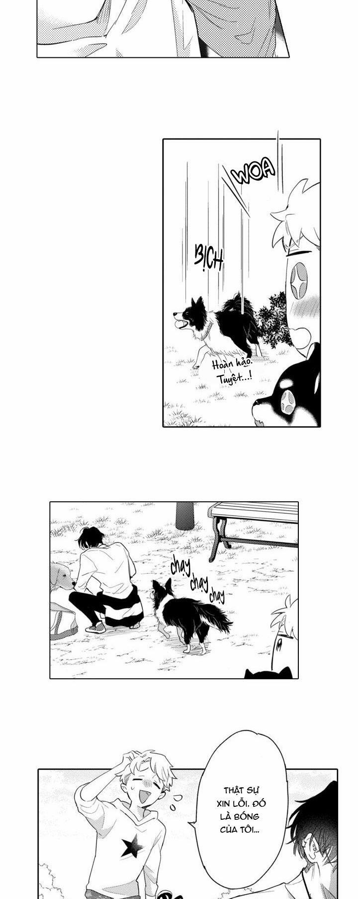 Hiyoko-chan To Harinezumi-kun 3 trang 15